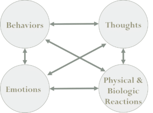 CBT Behavioral Medicine for chronic illness and pain