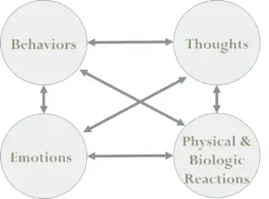 CBT Behavioral Medicine for chronic illness and pain