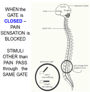 Gate Control Theory of Pain