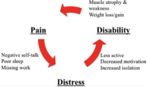 The Pain Cycle