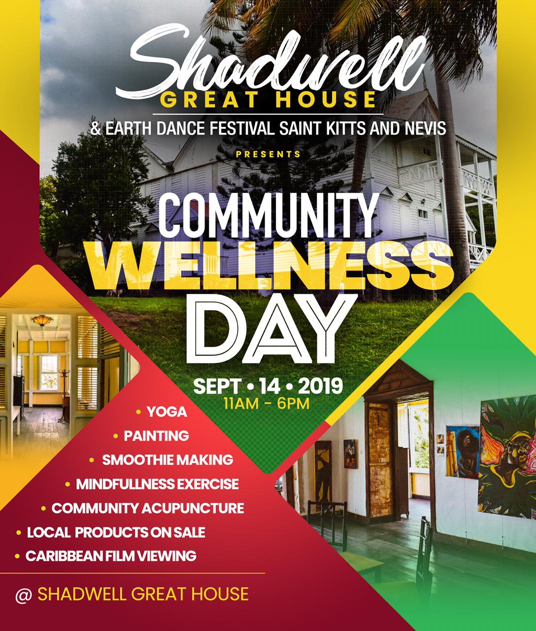 Community Wellness Day